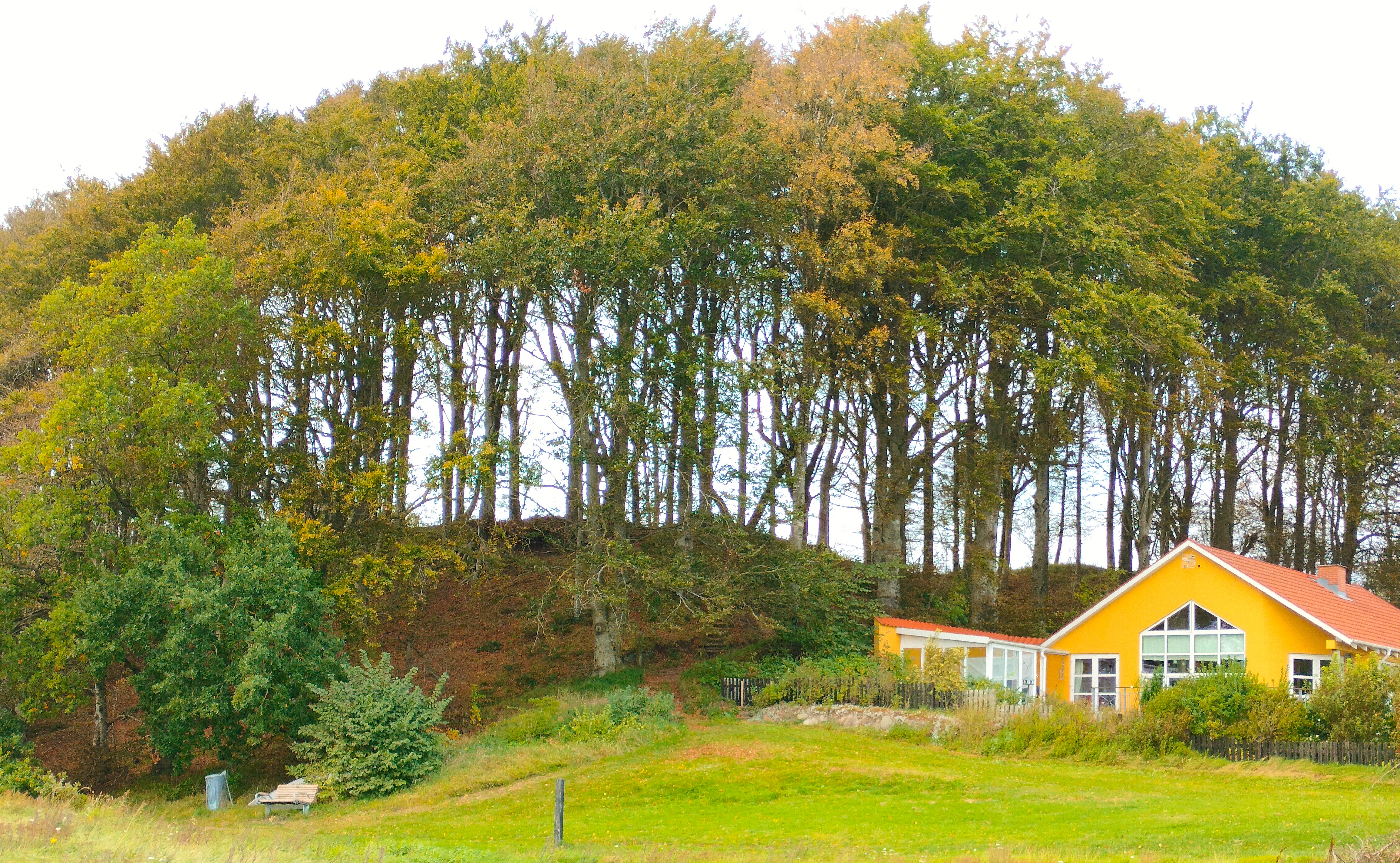 Billede af en skov med et hus